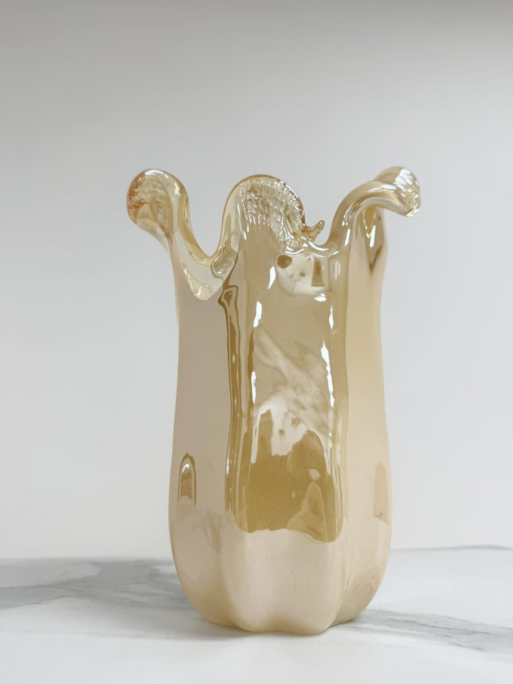 Murano Glass Vase | Certified Murano Glass | Made in Italy | Decorative Vase | Collection Venezia Medio